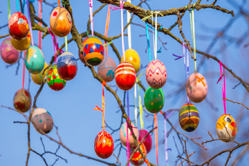 Easter tree eggs
