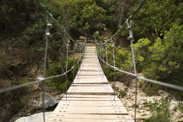 Obraz premium Drewniany most