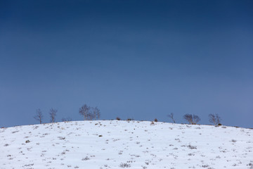 空と地平線／車山湿原