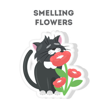 Smelling flowers cat