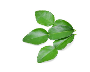 Kaffir lime leaf isolated on white background