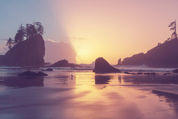 Olympic coast - obrazy, fototapety, plakaty