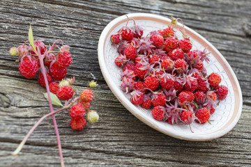 Wild strawberries plate