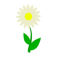 Flower flat icon
