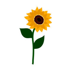Fototapeta premium Flower flat icon