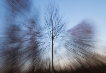 Abstract image with trees silhouettes showing movement or acceleration