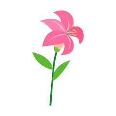 Flower flat icon