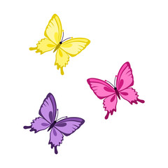 Fototapeta na wymiar butterfly flat icon