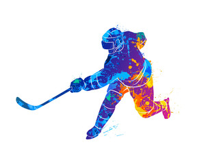 Obraz premium Hockey player illustration