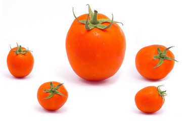 tomato over white background