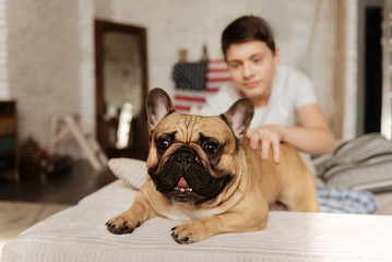 Close up photo of pug dog looking forward
