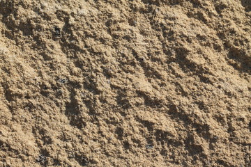 Sandy texture close up.