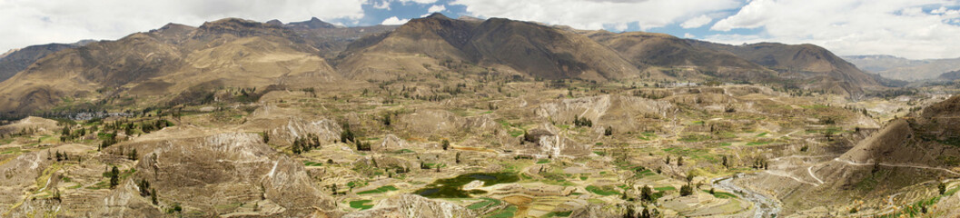 Fototapeta na wymiar Agricultural terraces and Colca river. Arequipa, Peru