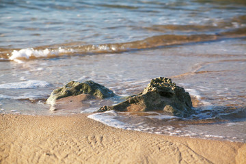 Мокрые морские камни на песке.