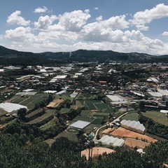 вид на плантации 