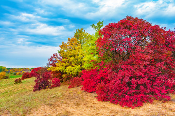 Hills with woods and bushes, wooded terrain and bright autumn colors. Autumn landscape.