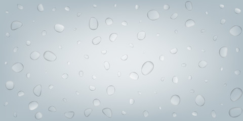 Fototapeta na wymiar Water drops. Realistic water droplets with transparency