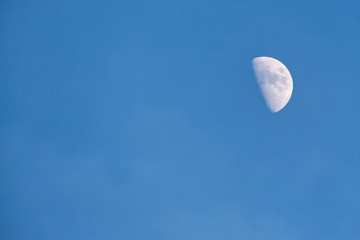 Half moon in the blue sky