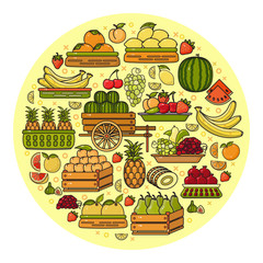 Vector set of flat design cute colorful fruit icon.