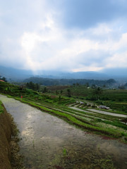 Fototapeta na wymiar Green rice terrace paddy fields with panoramic curve lines, water reflection, local kiosks and mountain view