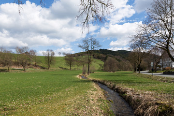 Fototapeta na wymiar Tranquil Creek at Oberhenneborn/ Germany