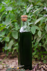 Nalewka miętowa © Cezary