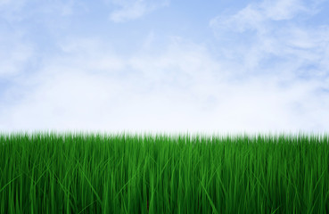 Fresh green grass on the blue sky, 3d illustration