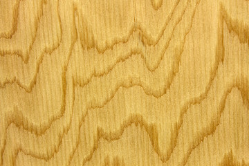 This is a closeup photograph of a Wood grain pattern background
