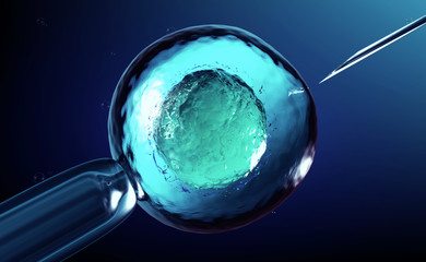 3D rendering of an artificial insemination or in-vitro fertilization of an egg cell,ovum or zygote - obrazy, fototapety, plakaty