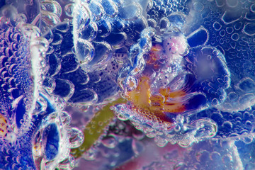 orchids in soda water with bubbles close up on black background. abstract composition