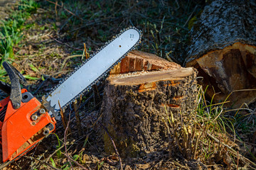 Chainsaw