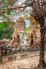 Obraz premium Wat Mahathat in Buddhist temple complex in Ayutthaya near Bangkok. Thailand