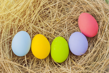 Easter eggs in the nest
