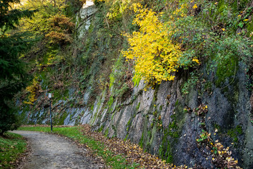 Path In Town In Autumn