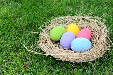 Obraz premium Easter eggs in nest on grass background