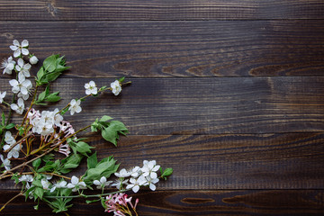 Spring background. Beautiful fresh flowers and leaves on the wooden background