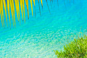 Fototapeta na wymiar Summer beach with yellow palm leaf and shiny sparkling sea water. Blurred background.