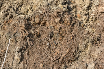 Brown soil texture