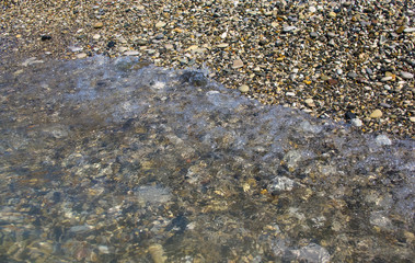 sea pebble beach with multicoloured stones, waves with foam