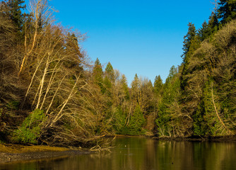 Obraz premium Cove Along Sound