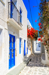 Traditional greek houses with spring flowers on Paros island. Cyclades. Greece.