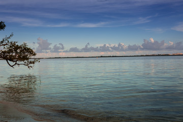 Obraz premium Ocean shore with piece of sand, clouds and skyline under brunch of trees Miami. Florida. USA