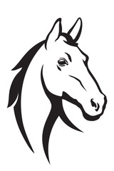 Horse head © master24