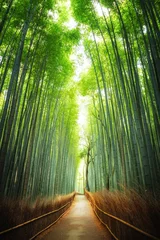 Papier Peint photo Japon Sentier à travers la bambouseraie Kyoto