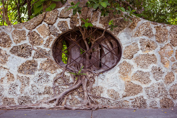 Old wall made of stones and cement with a small window in it. Tree roots grow through metall rods. Survival concept. Miami. Florida. USA