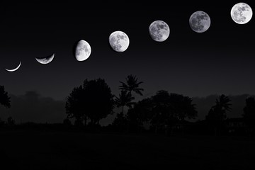 Fototapeta na wymiar Maui Super Moon