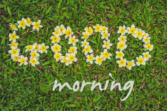 The inscription of a good morning on the grass. Flowers frangipani