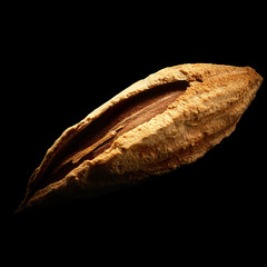 Almond isolated on black background with reflection. Close-up or macro. Health concept