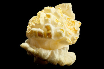 Single popped popcorn isolated on a black background with clipping path. Close-up or macro.