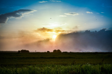 Obraz na płótnie Canvas Beautiful sunset over the green large field